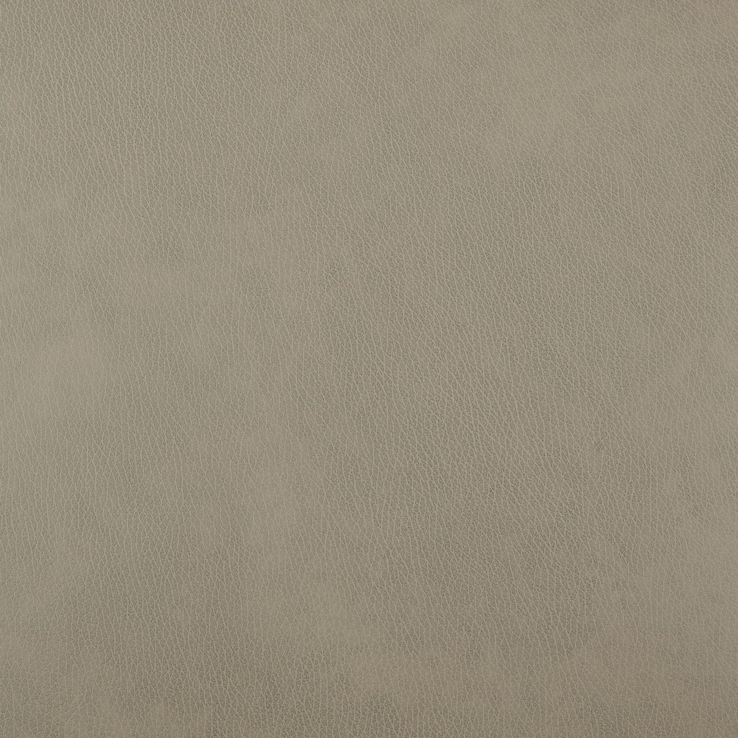 Elure - Leather Sling Chair (Set of 2) - Latte