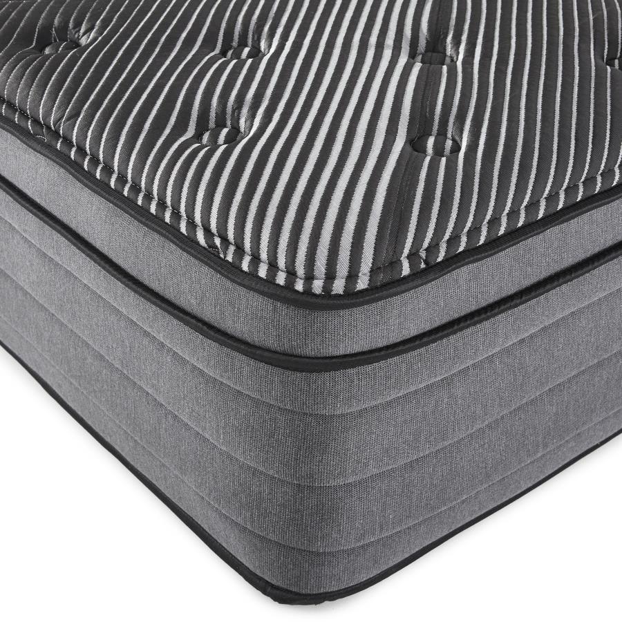 Sleep & Bedding