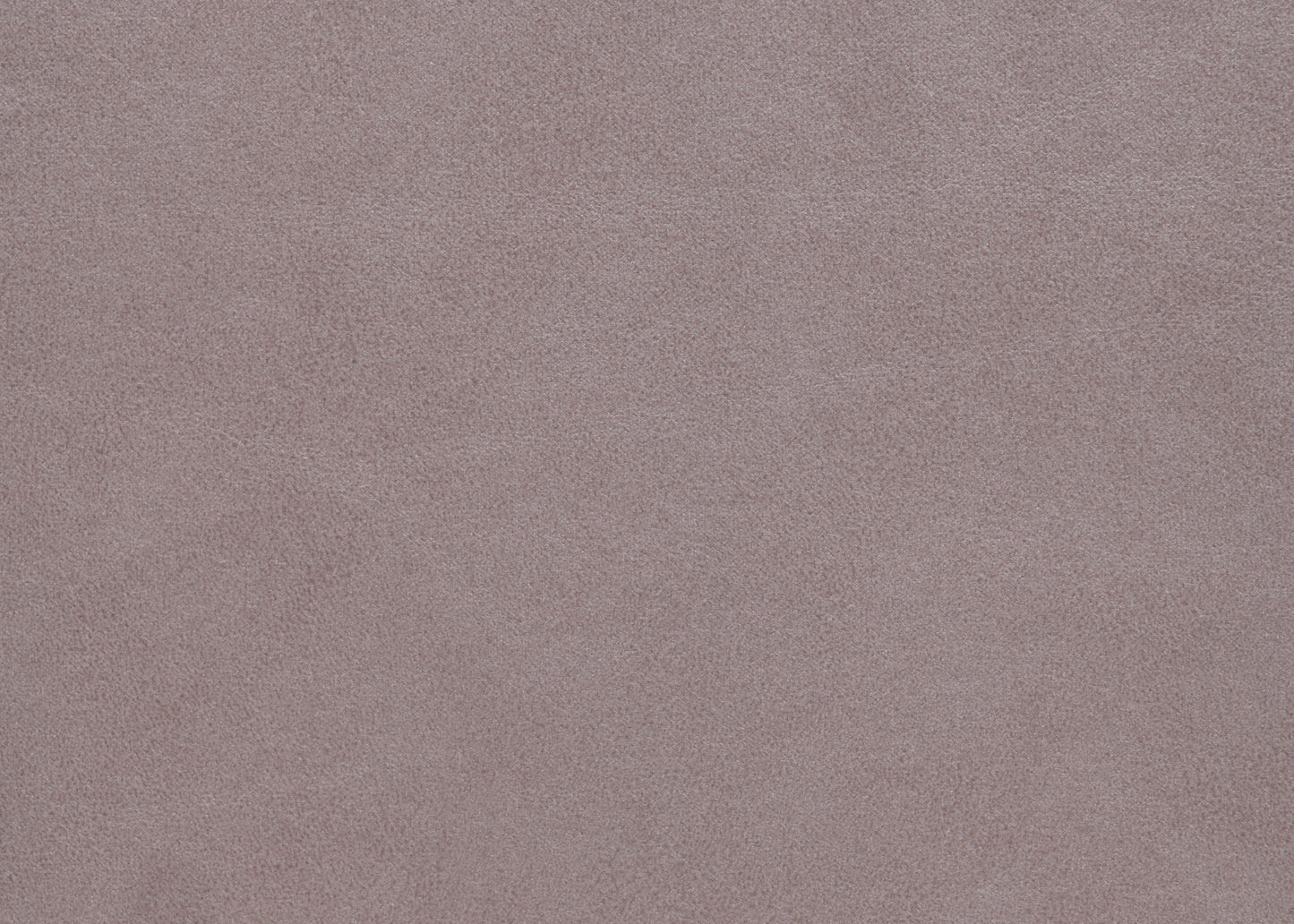 Trina - Upholstered Trundle Daybed